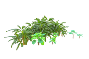 Tropical forest isolated on transparent background. 3d rendering - illustration png