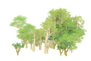 Tropical forest isolated on transparent background. 3d rendering - illustration png