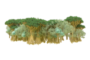 Tropical forest isolated on transparent background. 3d rendering - illustration png