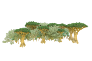 tropisch Wald isoliert auf transparent Hintergrund. 3d Rendern - - Illustration png