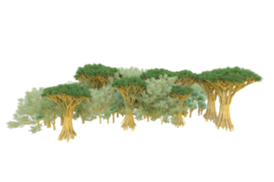 Tropical forest isolated on transparent background. 3d rendering - illustration png