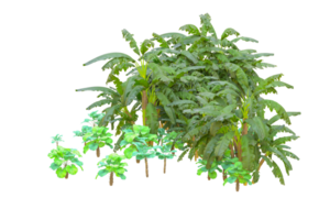 tropical floresta isolado em transparente fundo. 3d Renderização - ilustração png