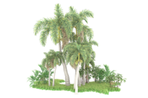 realistico foresta isolato su trasparente sfondo. 3d interpretazione - illustrazione png