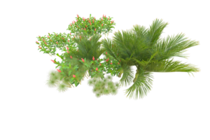 Tropical forest isolated on transparent background. 3d rendering - illustration png