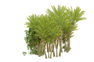 forêt réaliste isolée sur fond transparent. rendu 3d - illustration png