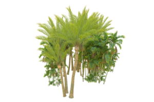 Realistic forest isolated on transparent background. 3d rendering - illustration png