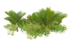 tropical floresta isolado em transparente fundo. 3d Renderização - ilustração png