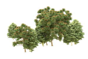 Realistic forest isolated on transparent background. 3d rendering - illustration png