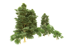 Realistic forest isolated on transparent background. 3d rendering - illustration png