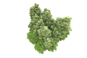 Realistic forest isolated on transparent background. 3d rendering - illustration png