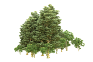 forêt réaliste isolée sur fond transparent. rendu 3d - illustration png