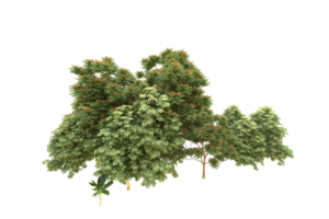 Realistic forest isolated on transparent background. 3d rendering - illustration png