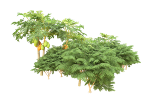 Realistic forest isolated on transparent background. 3d rendering - illustration png