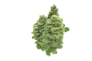 Realistic forest isolated on transparent background. 3d rendering - illustration png