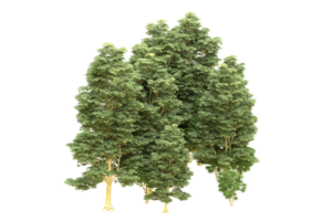 Realistic forest isolated on transparent background. 3d rendering - illustration png