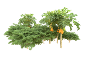 Realistic forest isolated on transparent background. 3d rendering - illustration png