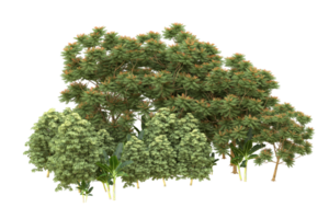 Realistic forest isolated on transparent background. 3d rendering - illustration png
