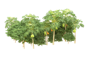 Realistic forest isolated on transparent background. 3d rendering - illustration png