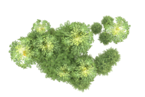 Realistic forest isolated on transparent background. 3d rendering - illustration png