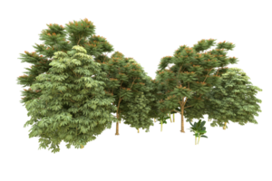 Realistic forest isolated on transparent background. 3d rendering - illustration png