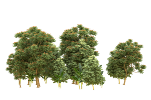 Realistic forest isolated on transparent background. 3d rendering - illustration png