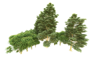 Realistic forest isolated on transparent background. 3d rendering - illustration png