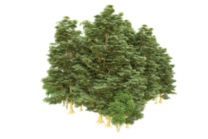 realistico foresta isolato su trasparente sfondo. 3d interpretazione - illustrazione png