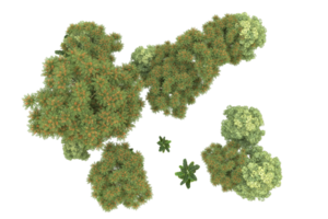 Realistic forest isolated on transparent background. 3d rendering - illustration png