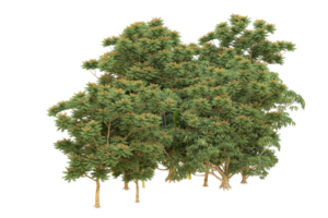 Realistic forest isolated on transparent background. 3d rendering - illustration png
