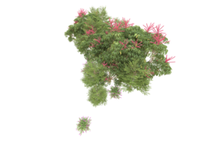 forêt réaliste isolée sur fond transparent. rendu 3d - illustration png