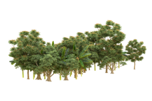 Realistic forest isolated on transparent background. 3d rendering - illustration png