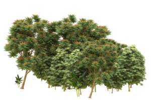 Realistic forest isolated on transparent background. 3d rendering - illustration png