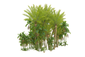 bosque realista aislado sobre fondo transparente. Representación 3d - ilustración png