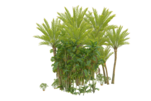 Realistic forest isolated on transparent background. 3d rendering - illustration png