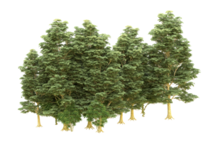 Realistic forest isolated on transparent background. 3d rendering - illustration png