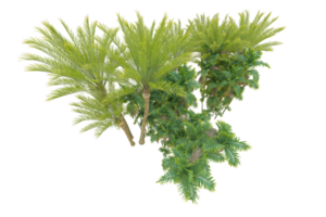 Realistic forest isolated on transparent background. 3d rendering - illustration png