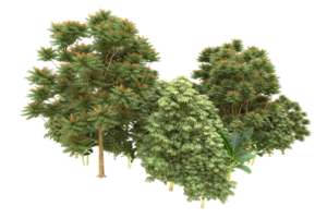 Realistic forest isolated on transparent background. 3d rendering - illustration png