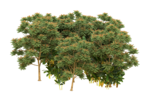 floresta realista isolada em fundo transparente. renderização 3D - ilustração png