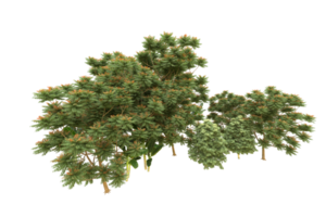 Realistic forest isolated on transparent background. 3d rendering - illustration png