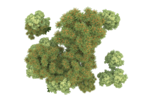 Realistic forest isolated on transparent background. 3d rendering - illustration png