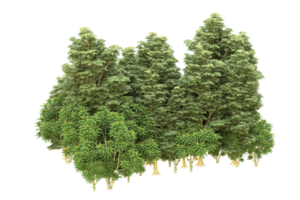 forêt réaliste isolée sur fond transparent. rendu 3d - illustration png