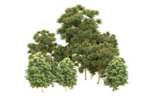 Realistic forest isolated on transparent background. 3d rendering - illustration png