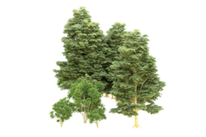 Realistic forest isolated on transparent background. 3d rendering - illustration png