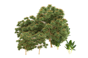 Realistic forest isolated on transparent background. 3d rendering - illustration png