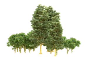 Realistic forest isolated on transparent background. 3d rendering - illustration png