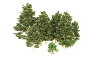 Realistic forest isolated on transparent background. 3d rendering - illustration png