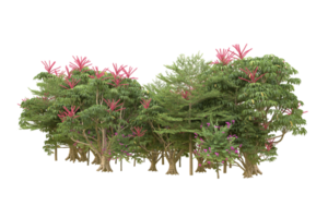 forêt réaliste isolée sur fond transparent. rendu 3d - illustration png