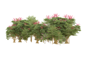Realistic forest isolated on transparent background. 3d rendering - illustration png