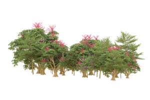 forêt réaliste isolée sur fond transparent. rendu 3d - illustration png