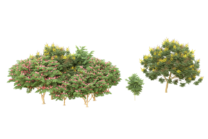 Realistic forest isolated on transparent background. 3d rendering - illustration png